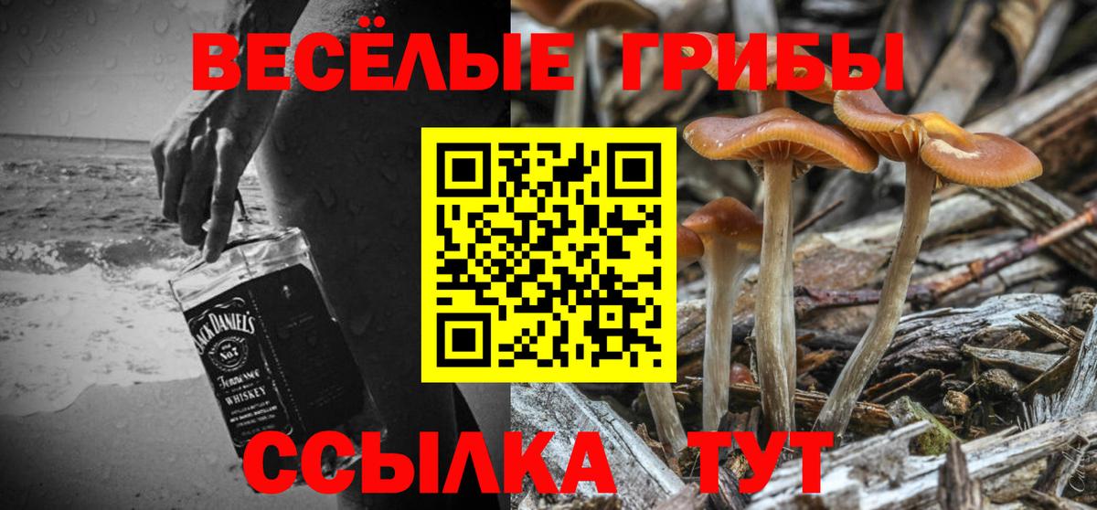 Галлюциногенные грибы мицелий Фролово