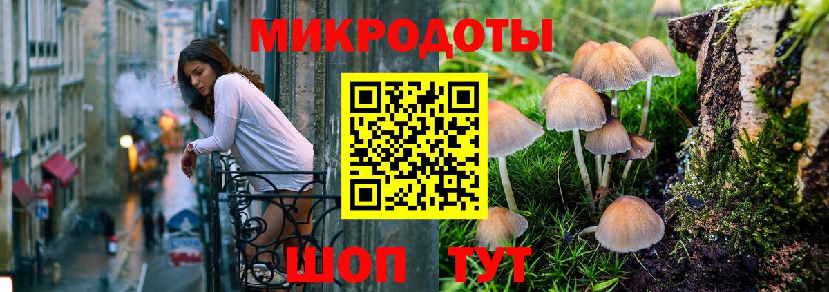 Фролово  Галлюциногенные грибы прущие грибы  Вход с VPN 